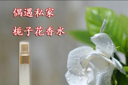 制作植物香水要多久才香