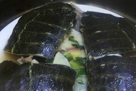 长沙清蒸甲鱼怎么做