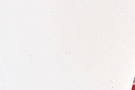 salc是什么车标