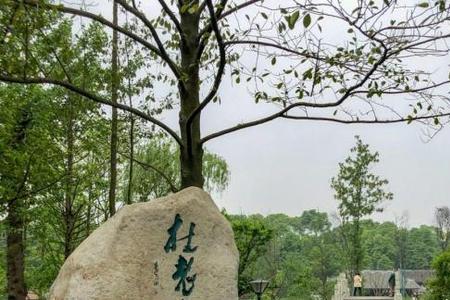 成都最多公园的是哪个区