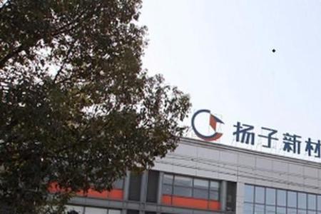 扬子集团上市了吗