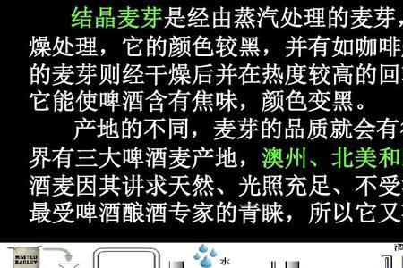 啤酒两段法发酵工艺