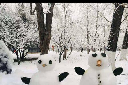新亭煮酒初雪含羞是什么意思