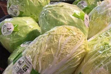 泡沫箱栽几棵白菜
