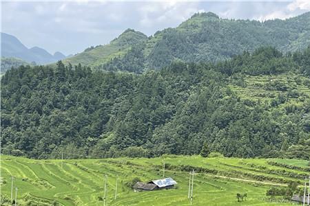拓展乡村振兴的新空间和新途径