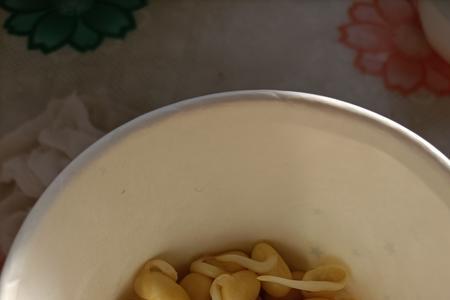 黄豆泡半个小时能生芽吗