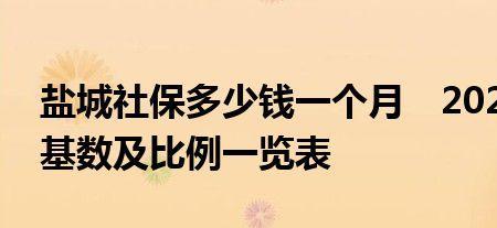盐城五险基数4250个人缴纳多少