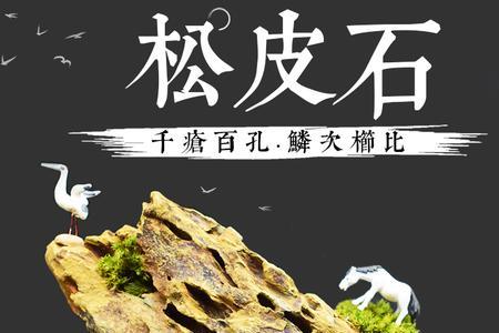 吴定石和吸水石比较