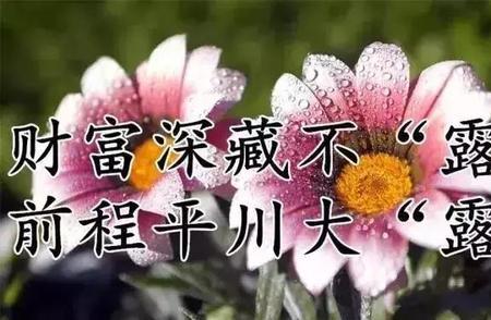 幸福无边什么意思