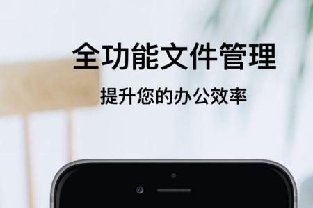 苹果手机本地网络是什么