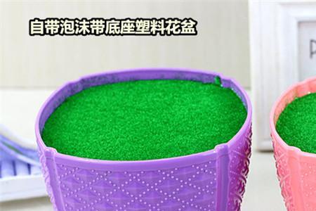 插花底座湿泡沫叫什么