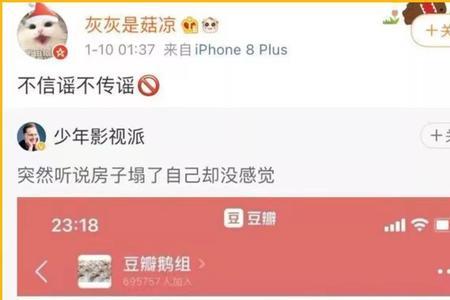 野生字幕组是什么意思