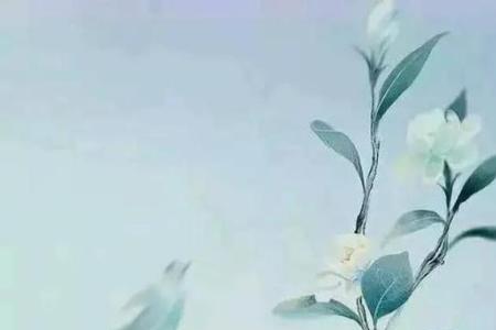 人心不古世态炎凉.是什么意思