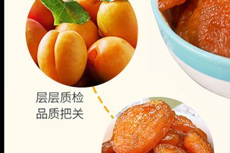 杏干冷冻保存方法