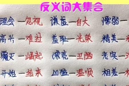 聪明活泼的反义词
