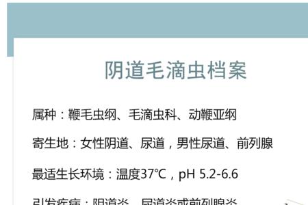 滴虫形状