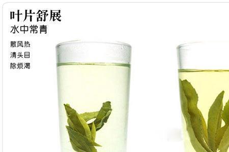苦丁茶叶好还是芽好