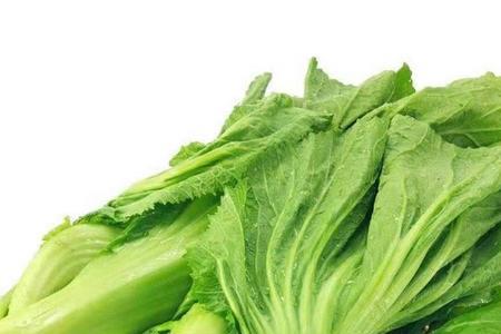 大叶芥菜一般亩产多少斤
