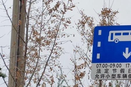 大道为公的道是什么意思