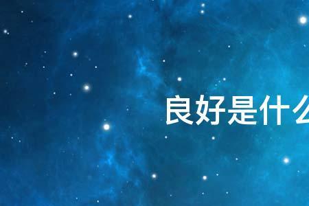 善良的近义词成语
