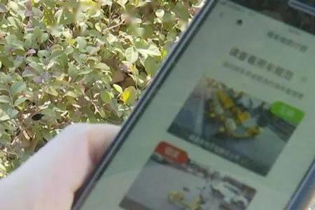 为什么手机扫描电单车用不了