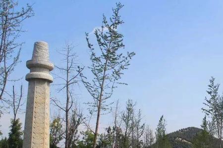 山东邹城九龙山典故