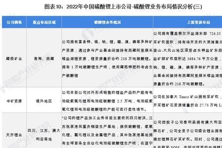 鼎盛锂业是上市公司吗