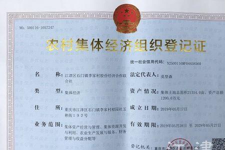 企业是否属于集体经济组织