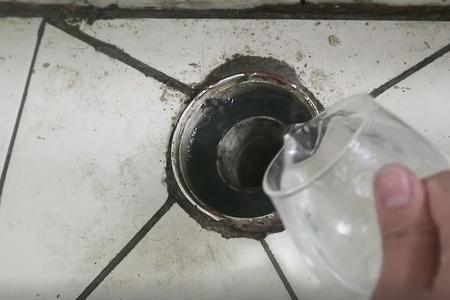 死鱼堵下水道多久化掉