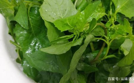 白花菜家常做法