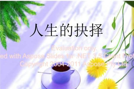 人生选择的含义