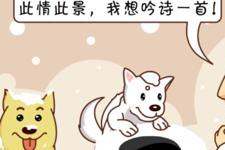 诗圣是怎样戏弄猪八戒的
