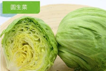 圆生菜好还是大叶生菜好