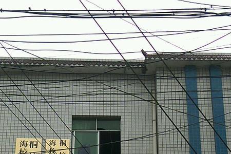 乡镇街道卫生院是行政单位吗