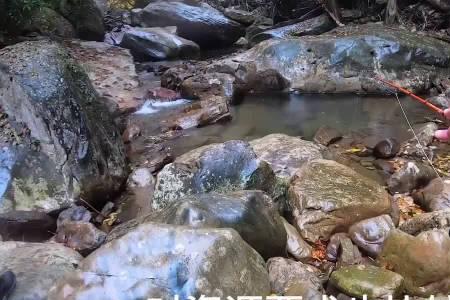 为什么溪流钓的主线是透明的