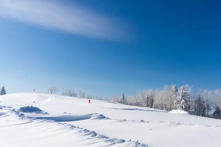 要是下起雪来就像什么