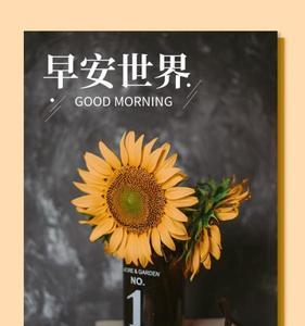 愿你心情像阳光一样暖