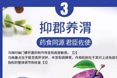 什么是岩藻双利菌