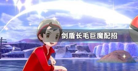 呆呆王如何配招剑盾