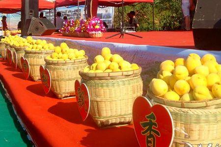 荆州黄桃节什么时候开始