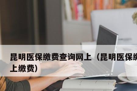 河北省石家庄医保在昆明能用吗