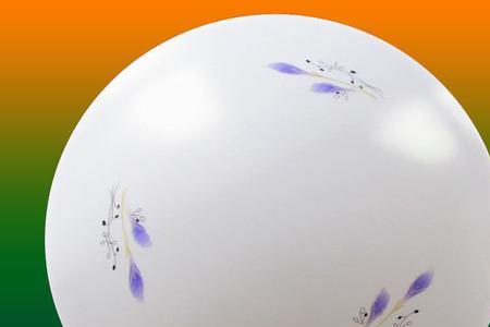 吸顶灯灯罩坏了应该怎么办