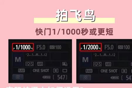 为什么调快门拍照发白