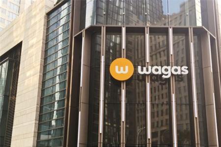 wagas这牌子为什么这么贵