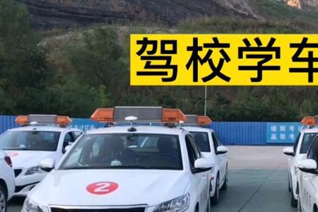 考科目三带黄皮叶真的一把过么