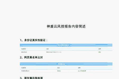 风控订单是什么意思
