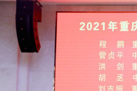 重庆化医集团下属公司有哪些