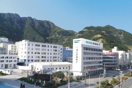 浙江锦泰电子科技有限公司概况