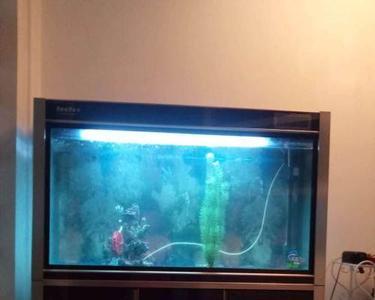 森森水族箱寿命一般是多少年