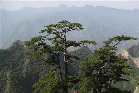 独步两重山是什么意思